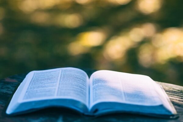 Harnessing AI in Education: Transforming Learning Experiences for a New Generation