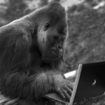 Transforming Writing: How AI is Changing the Landscape of Content Creation and Communication