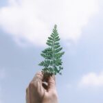 Essential AI Tools for Artists: Unleash Your Vision with Innovative Technology