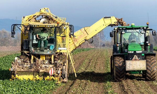 Revolutionizing Industries: The Impact of AI Technology on Business, Communication, and Daily Life