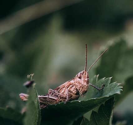 Unleashing Potential: Discover Top AI Tools That Are Changing the Game for Artists Everywhere