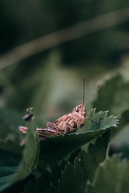 Unleashing Potential: Discover Top AI Tools That Are Changing the Game for Artists Everywhere