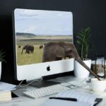 Embracing AI in Writing: Tools and Techniques to Enhance Your Craft and Explore New Horizons