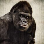 Essential AI Tools for Artists to Discover New Techniques and Elevate Their Work Experience