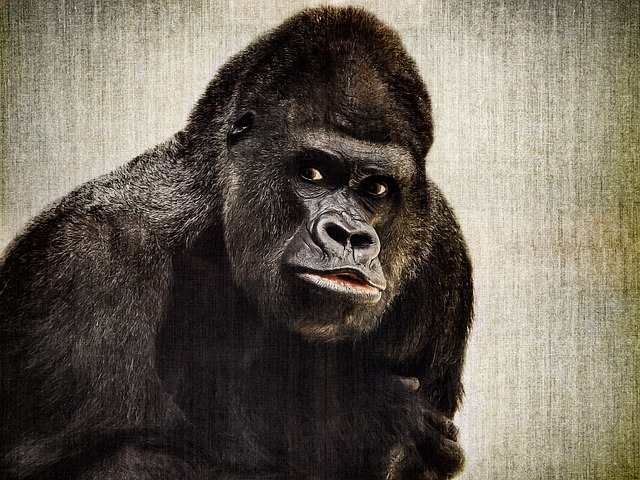 Essential AI Tools for Artists to Discover New Techniques and Elevate Their Work Experience